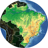 Brasilian culture foundation logo inspiration: shape of the country of Brasil