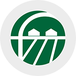 old logo of Rural Development Foundation NGO that needed rebranding