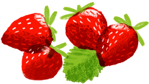 ilustracja grafika rysunek owoców truskawki na etykietę opakowania naturalnej konfitury